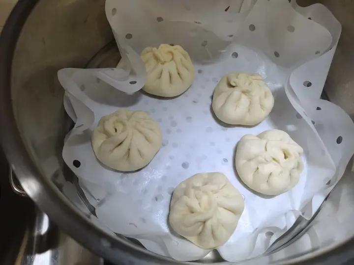 一次发酵肉包子