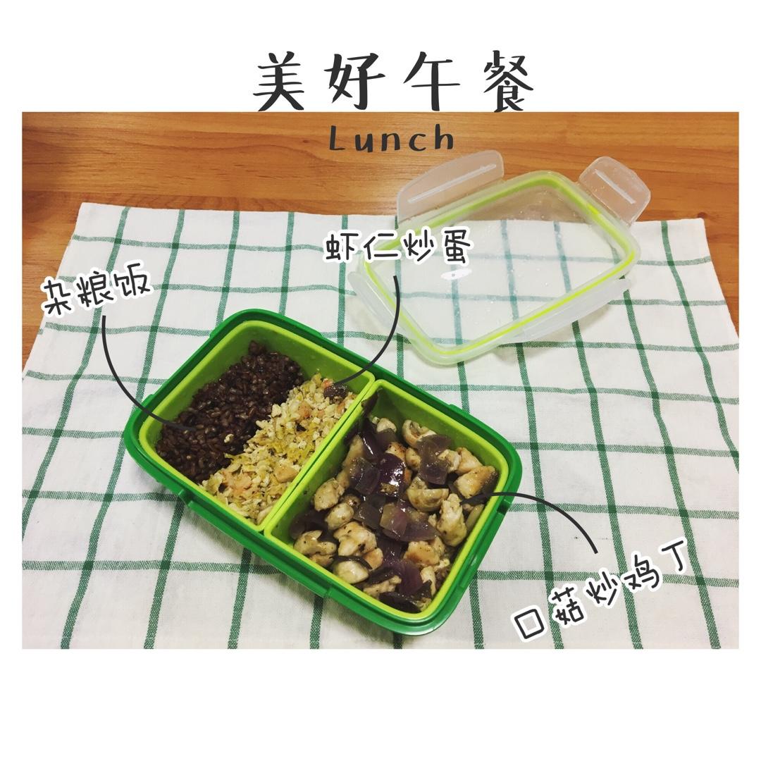 一日食