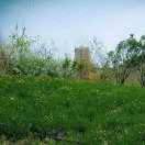 手机用户1368_wt8q