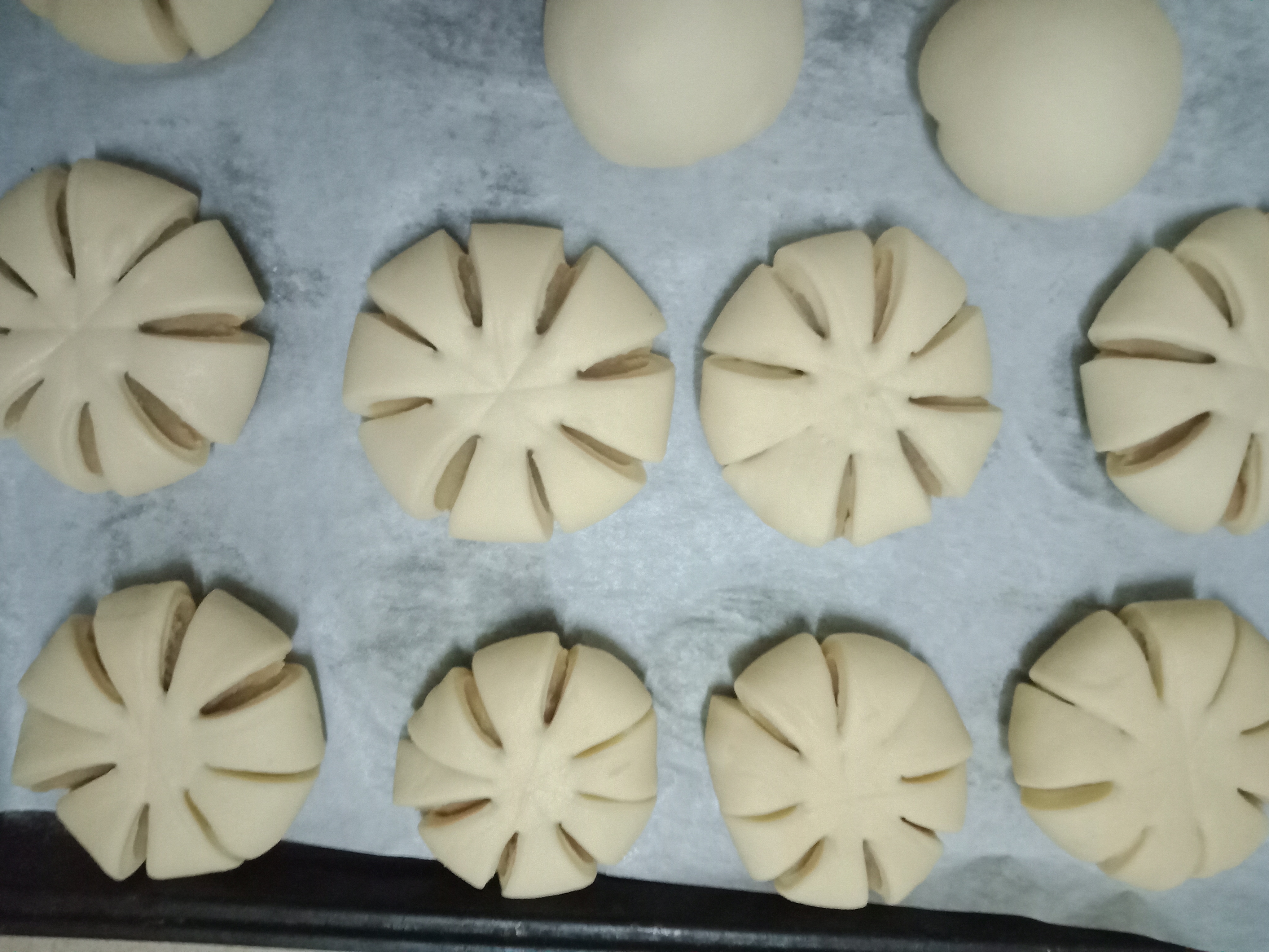 一次发酵莲蓉馅面包的做法 步骤7