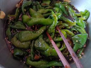 新疆民间腌油辣子腌洋姜及各种菜的万能腌菜方法的做法 步骤4