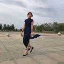 虹火狐狸
