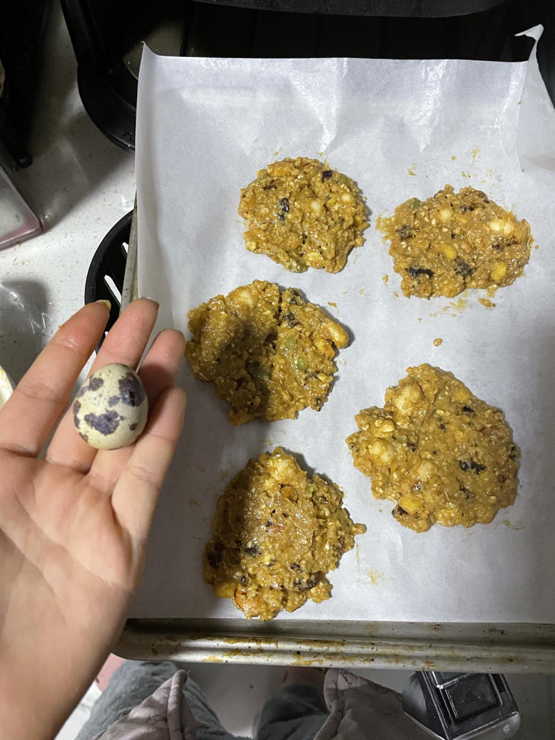 无数次翻牌の ·燕麦饼干🍪