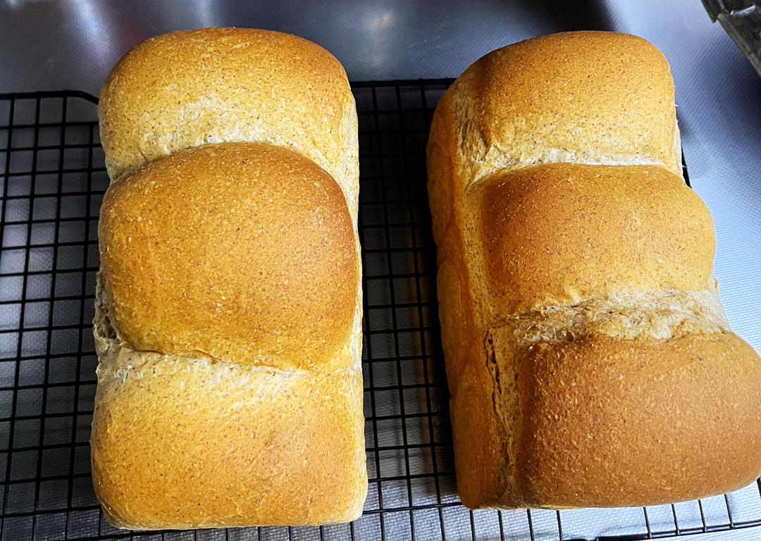 100%无糖无油全麦吐司！