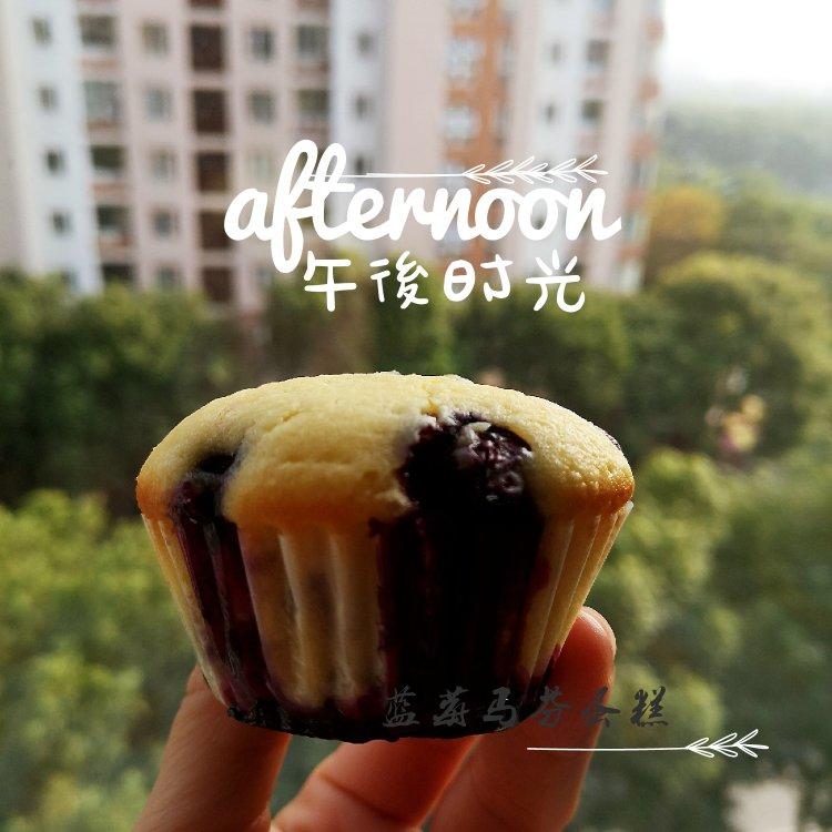 蓝莓玛芬蛋糕 Blueberry Muffin