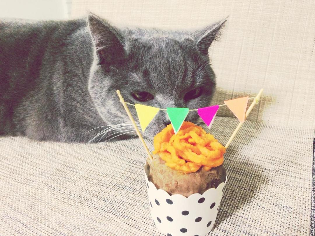 猫咪capcke庆祝蛋糕的做法