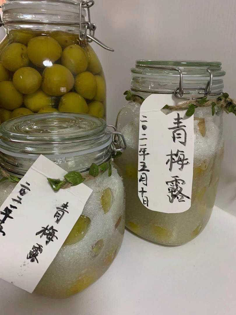 零失败【青梅酒 & 梅子露】梅子的沉淀岁月