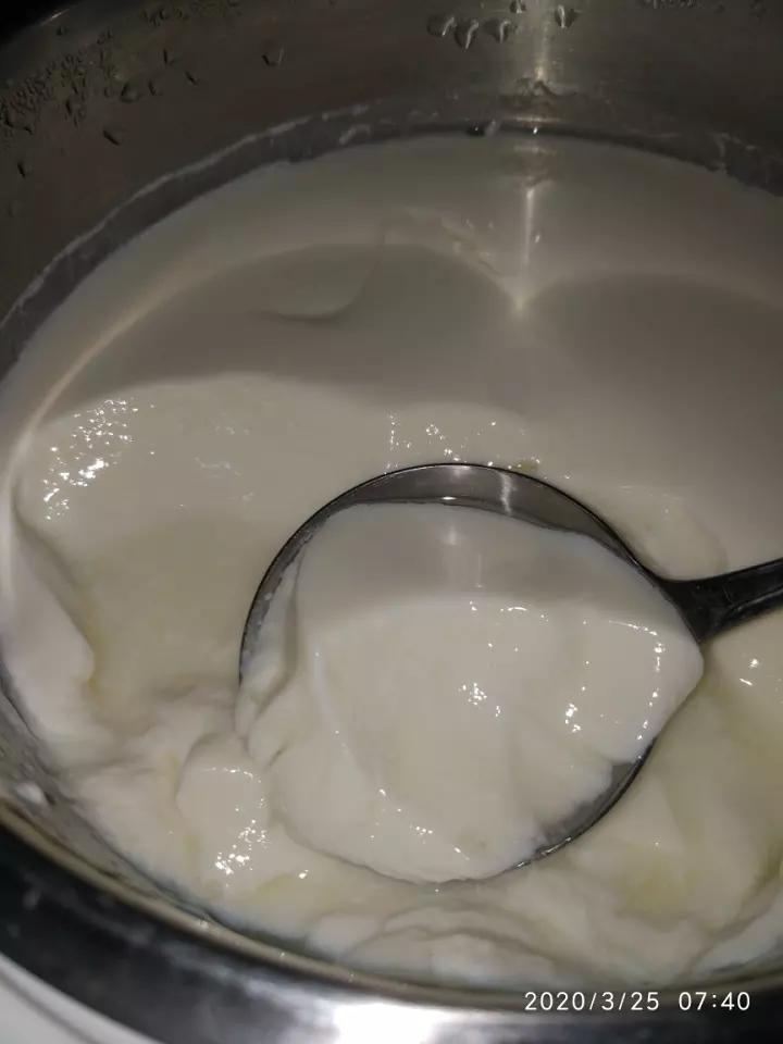 自制酸奶简述