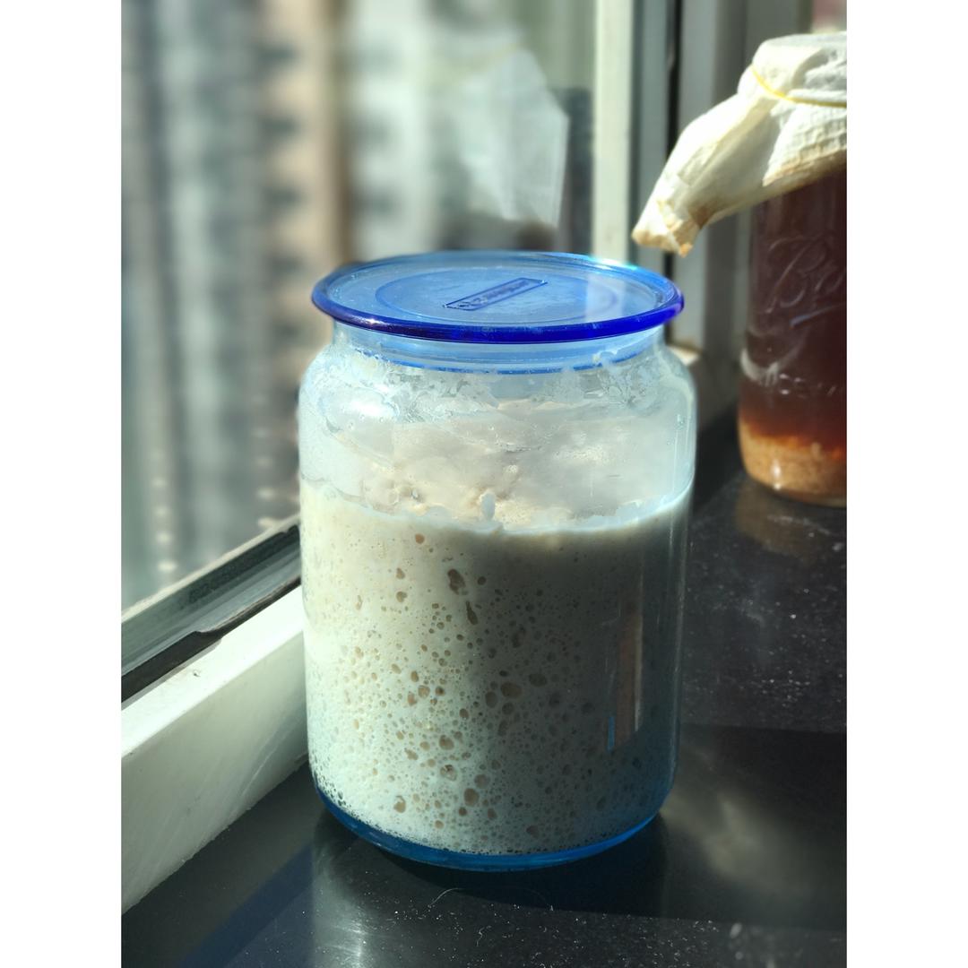 【Ken Forkish】天然酵种培养