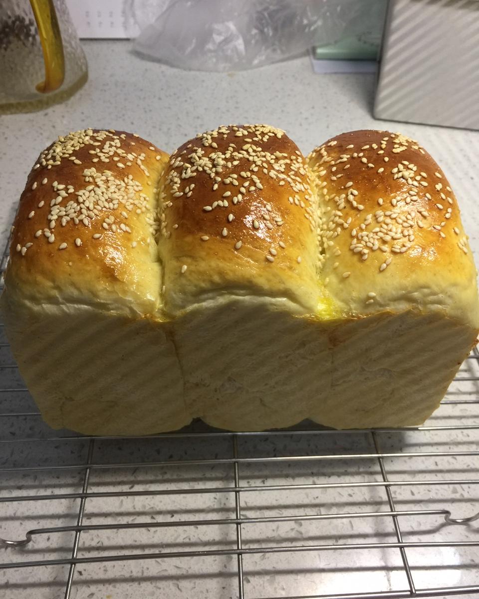 北海道吐司（100%中种）一周小结