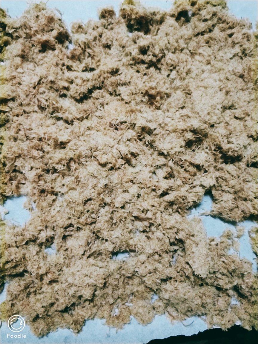 自制宝宝牛肉松