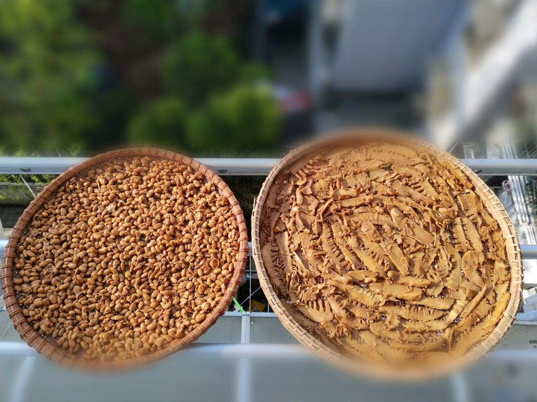 笋干和豆和花生好天气