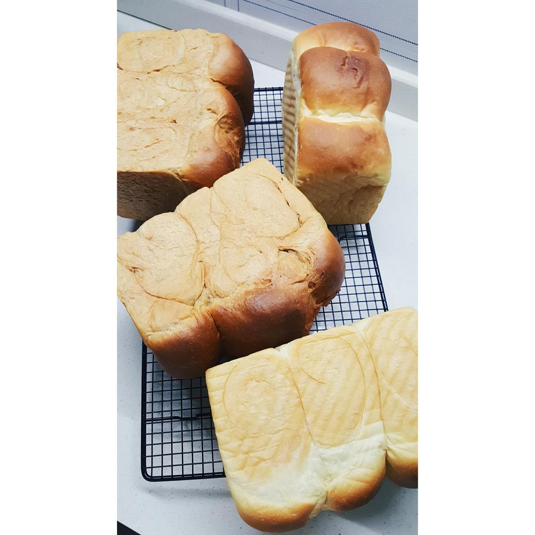 鲜奶吐司（老面法）