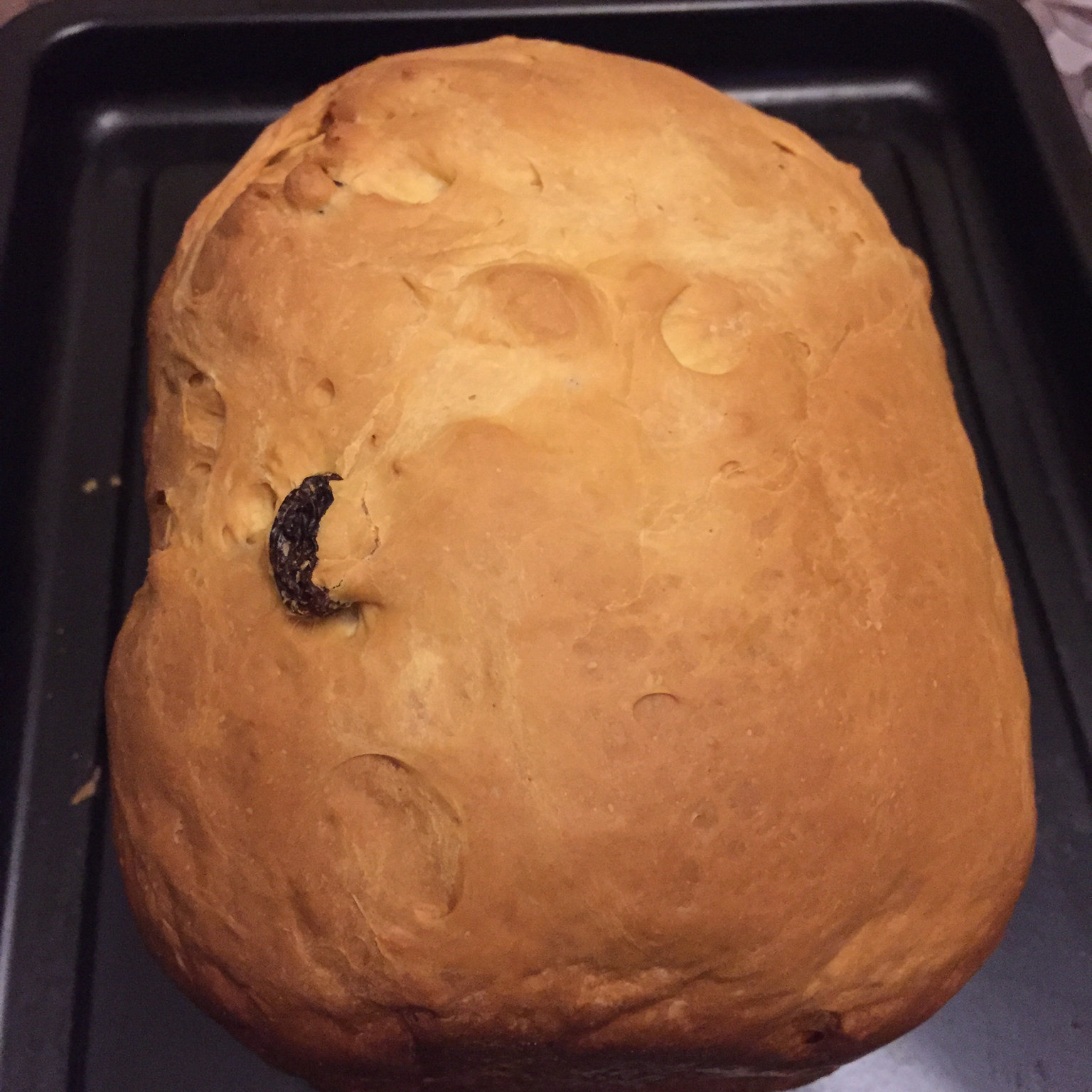 提子土司（柏翠面包机PE6280）自用方子