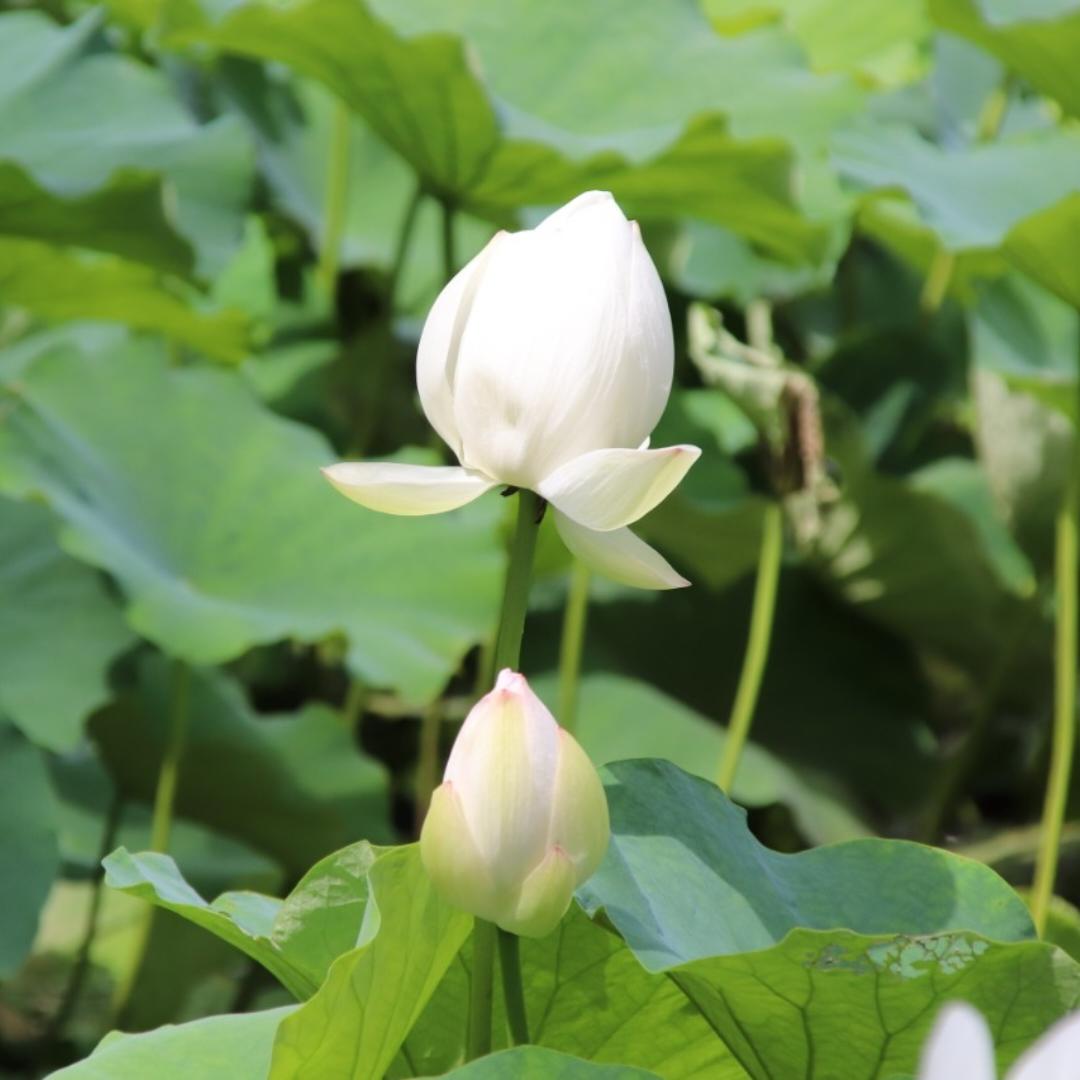 小雨的妈妈