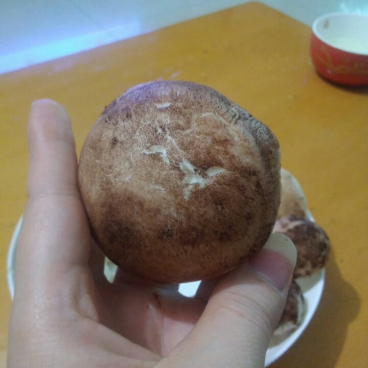 蘑菇包