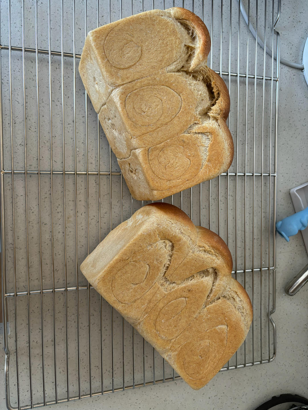 40%全麦吐司🍞（波兰种）
