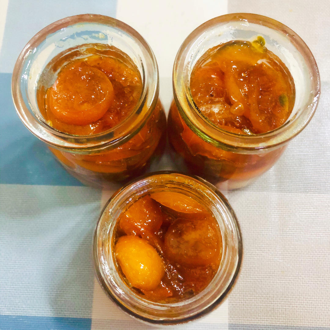 止咳化痰-金桔膏