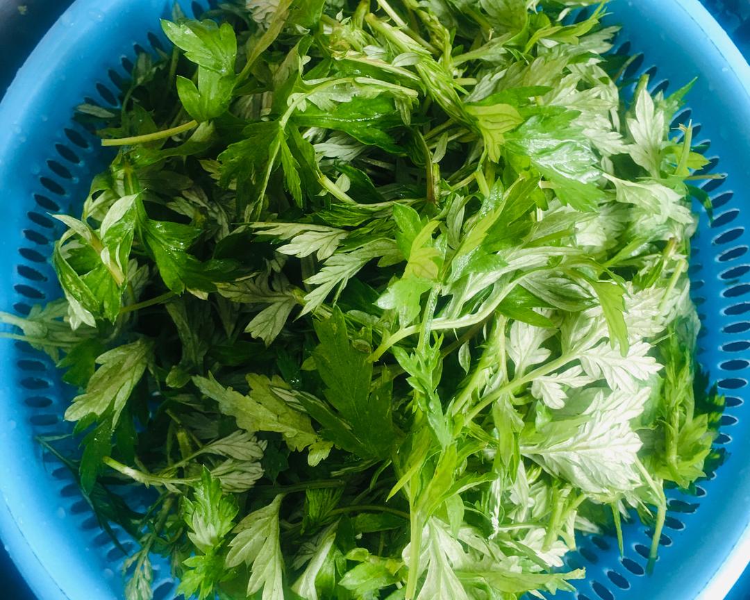 新鲜艾草的保存