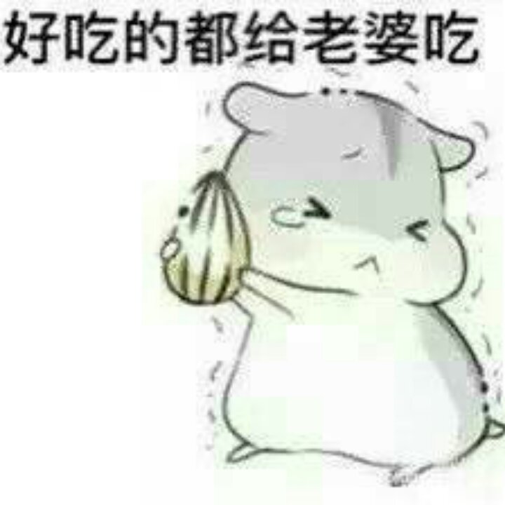 飞fay