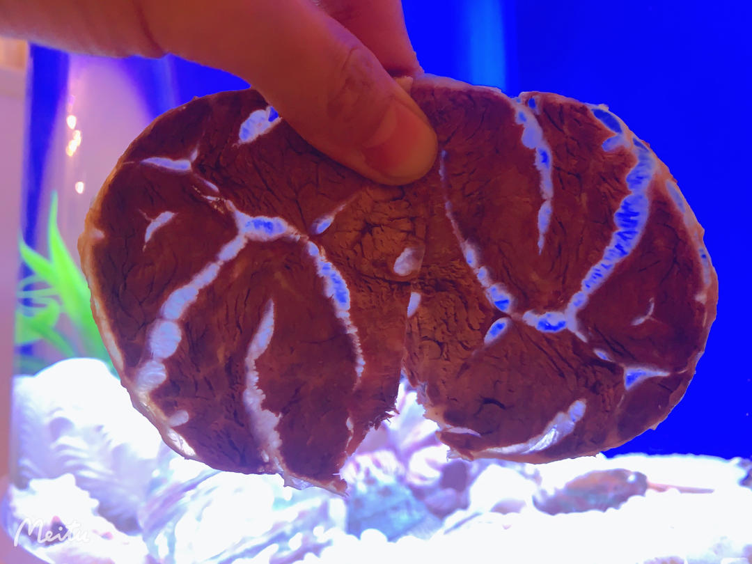 卤牛腱子（分分钟学会）