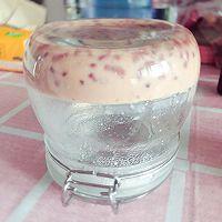 红豆鱼胶牛奶冻 满满的胶原蛋白的做法 步骤7