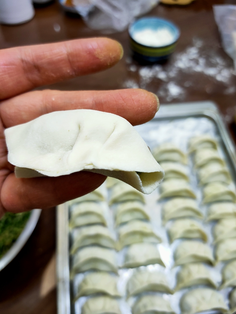 韭菜猪肉饺子(附擀皮和最简单的饺子包法)的做法 步骤19