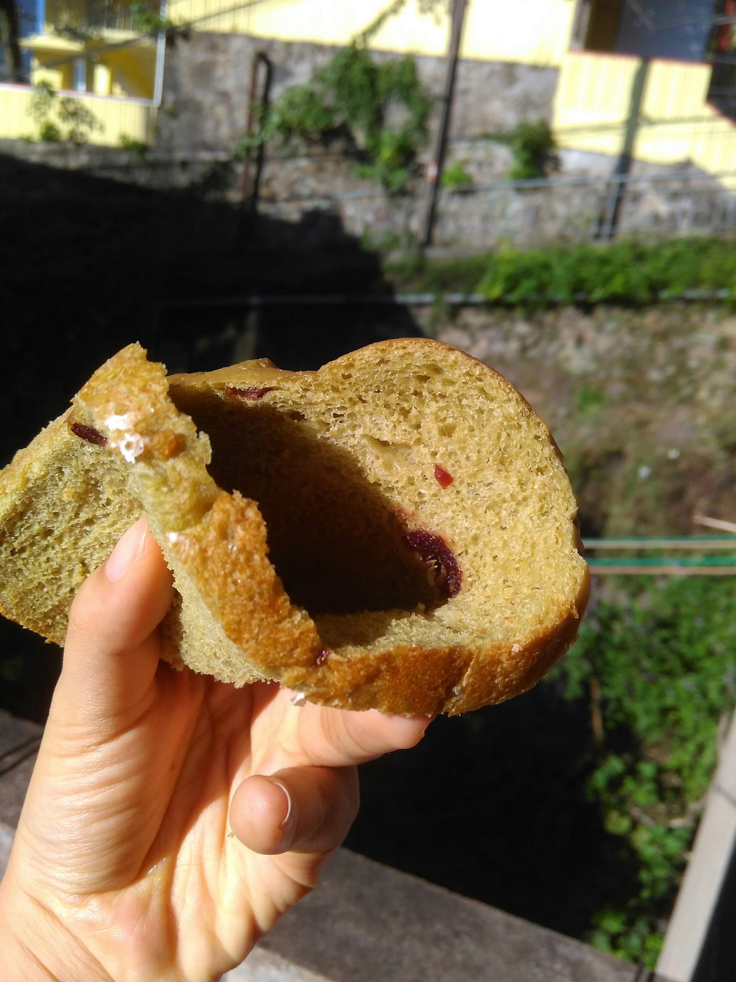 抹茶蔓越莓面包-松下PPF100的做法 步骤8
