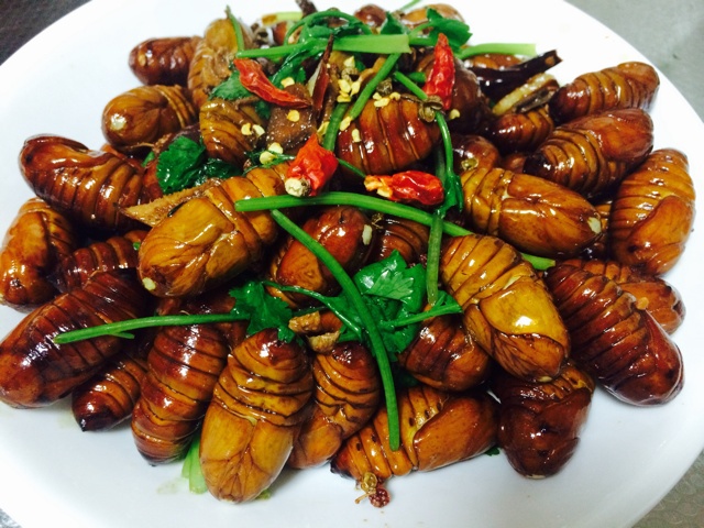 家常炒茧蛹