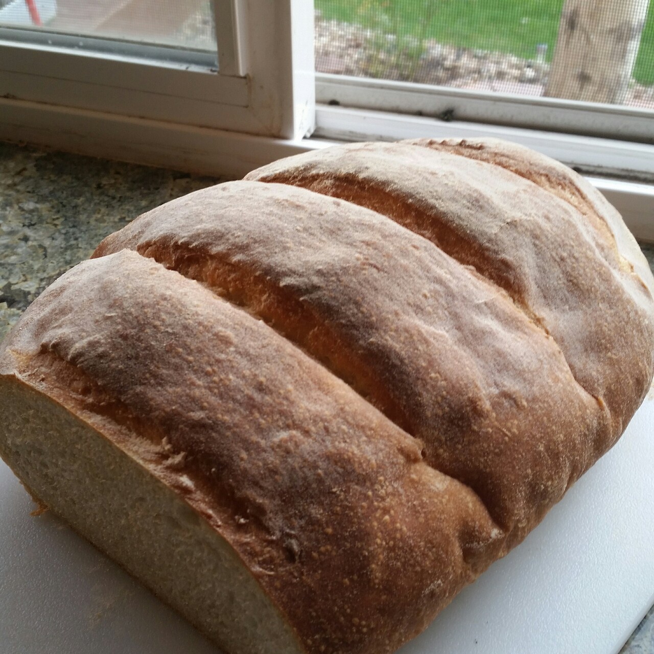 保罗版经典英式面包——布鲁姆 Bloomer