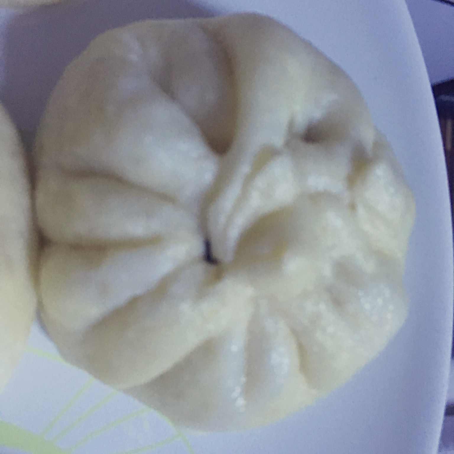 包子---面包机和面发面排气