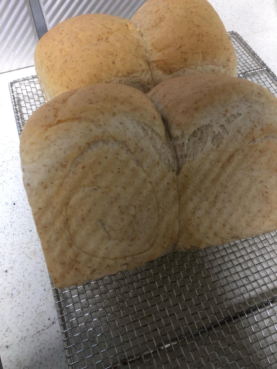 令人无法忘怀的阳光全麦吐司