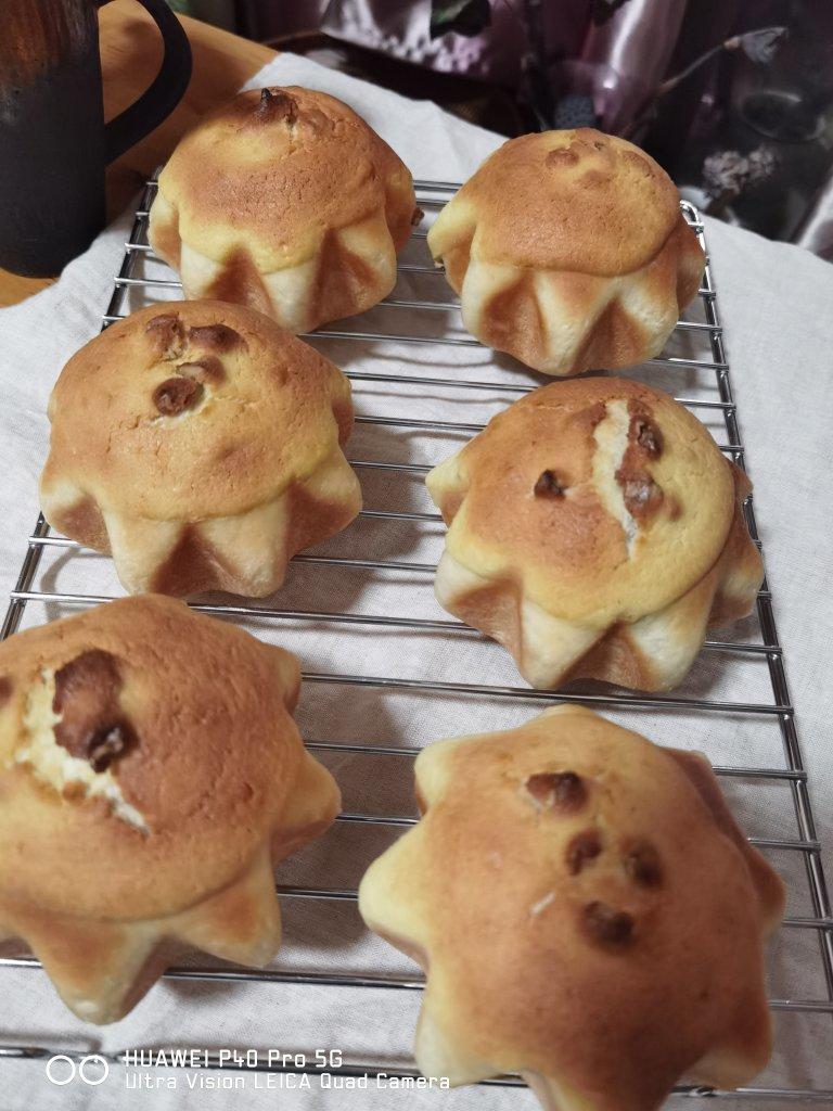 核桃墨西哥面包--多动图演示揉面过程