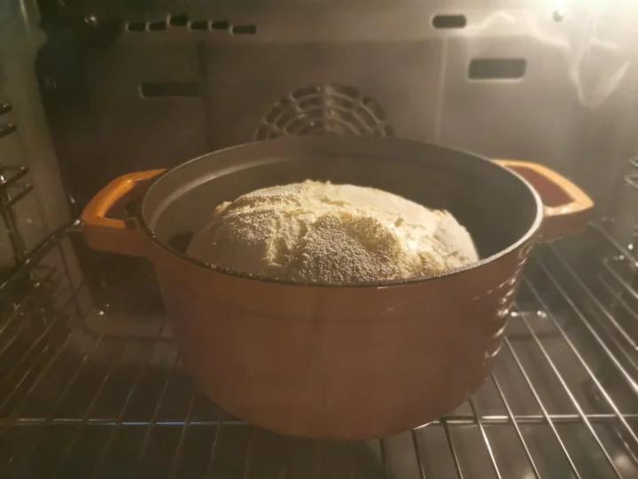 无糖低油/无油全麦欧包：简单易做