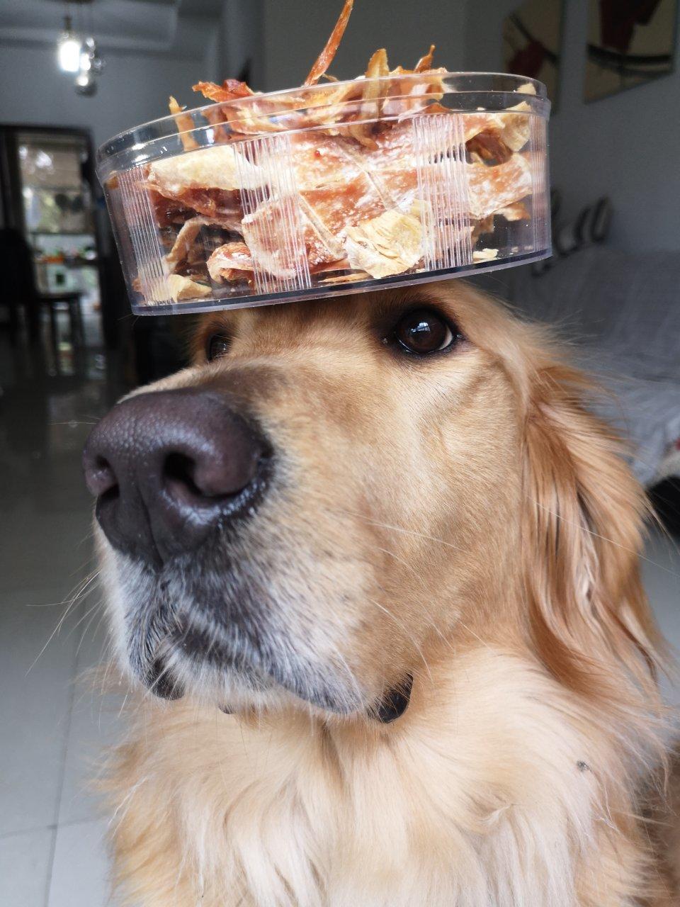 犬粮！低温烤鸡肉干