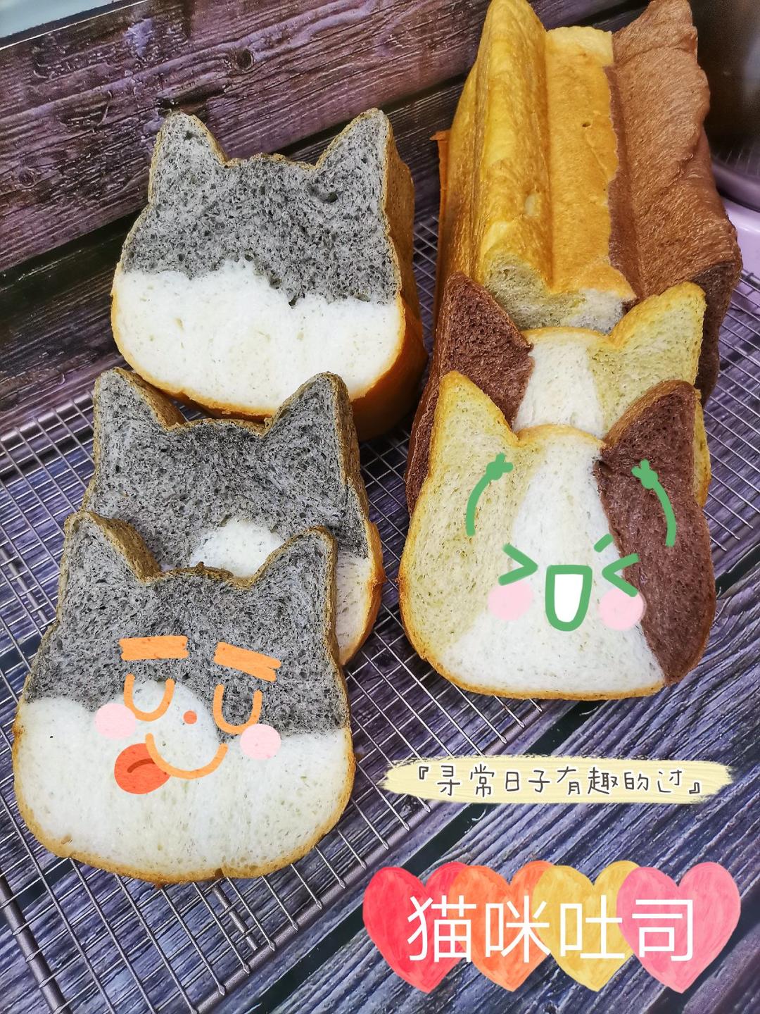猫咪吐司（两款模具吐司教程）