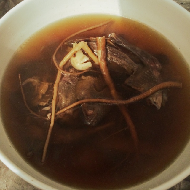 炖鸽子汤