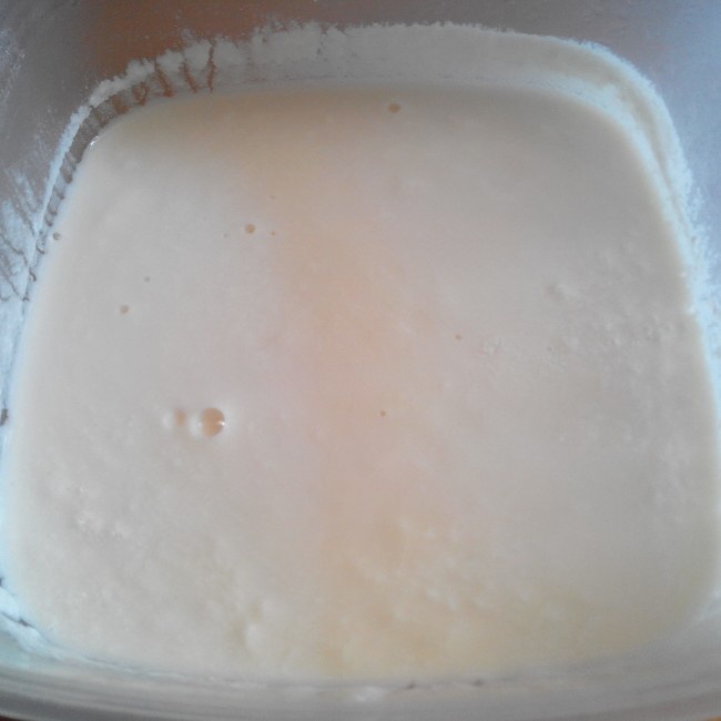 自制内蒙古老酸奶