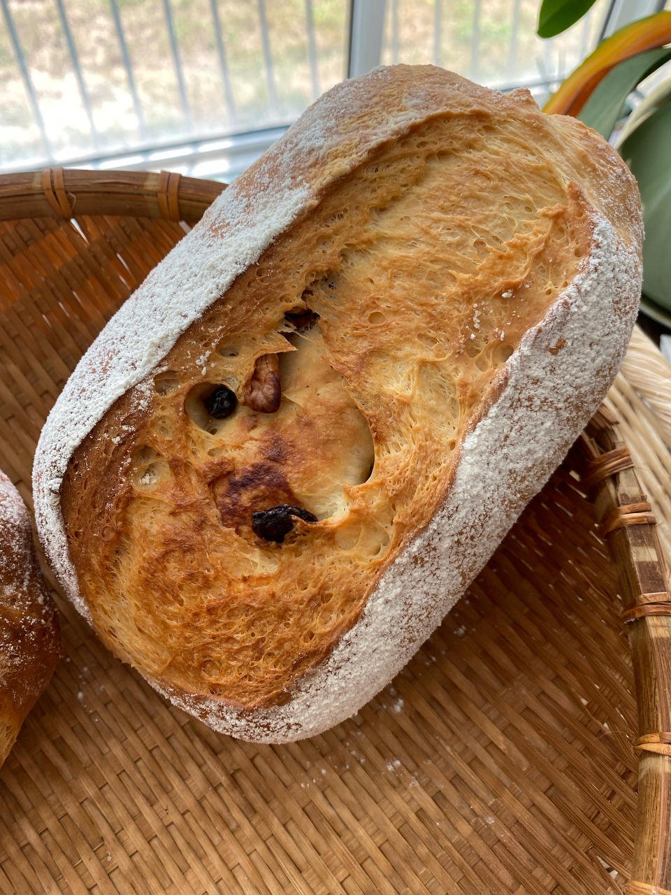 家庭常规版蔓越莓，核桃软欧