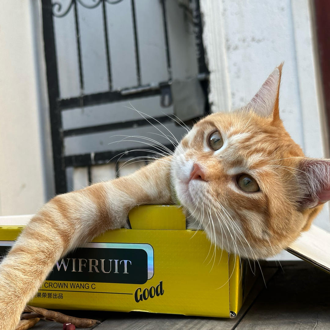 -小沫子爱吃肉-