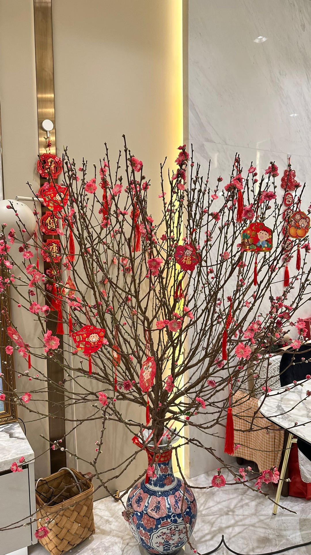 苹果用户2117_hs6r