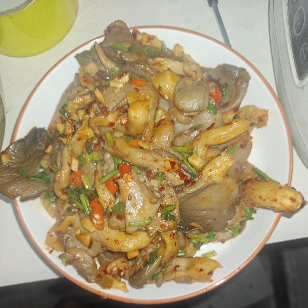 平菇的神仙做法