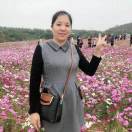 手机用户6295_uly3