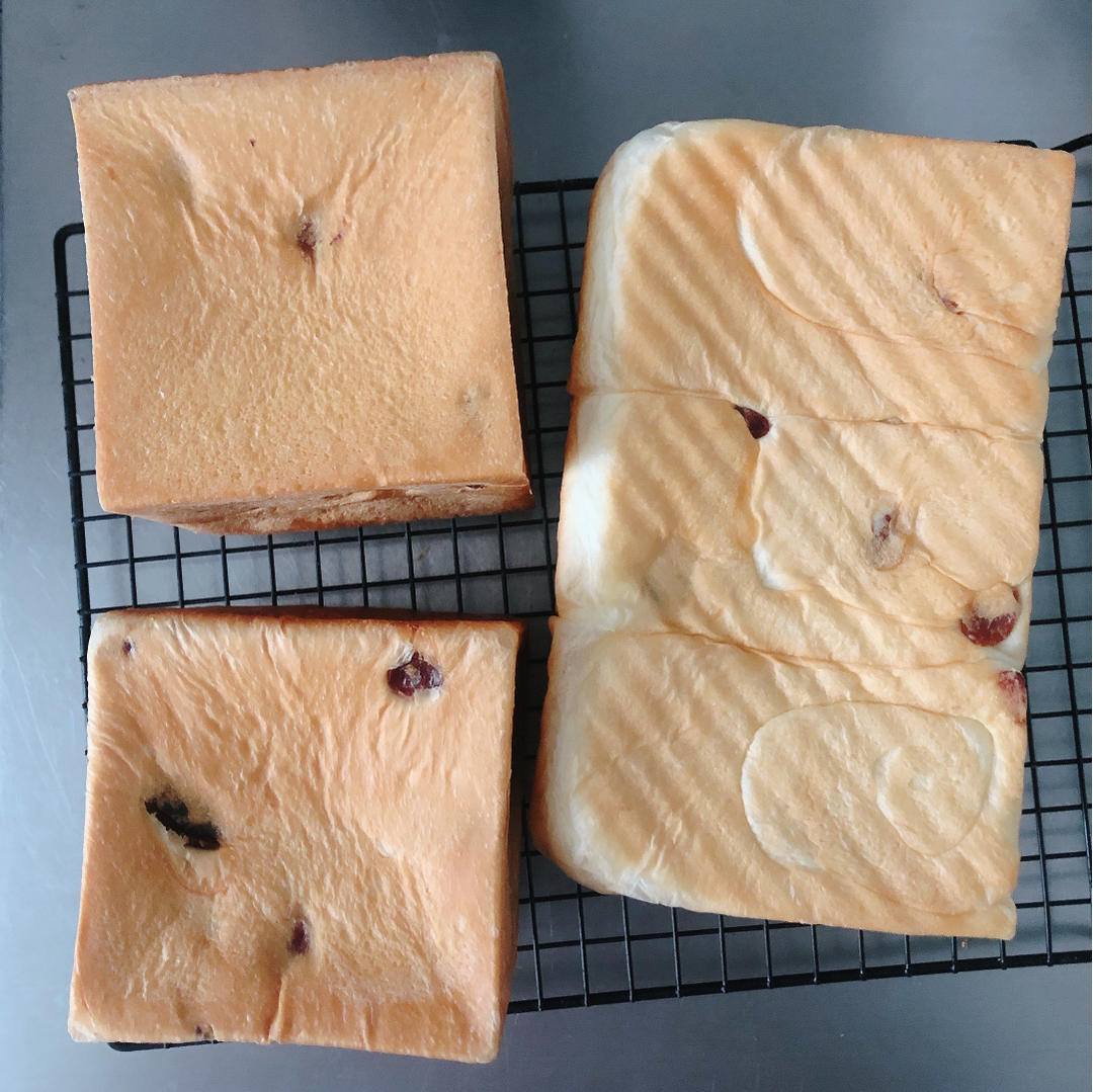 超柔软一发‼️奶香葡萄干手撕吐司『松软拉丝』