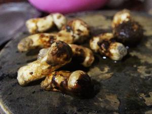 秋季特辑-松茸炖鸡、盐煎松茸、黄油烤松茸和炒松茸的做法的做法 步骤9