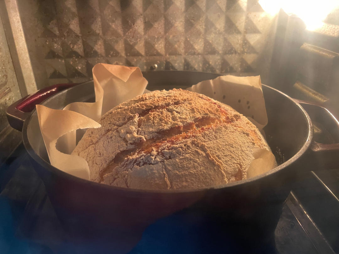 【外脆里软】小朋友都爱的无油无糖全麦酸奶乳清硬欧包乡村面包免手揉健身减脂