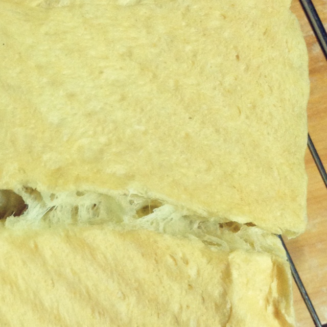 夺命软吐司(๑´ڡ`๑)超软拉丝极速方便的一次发酵吐司