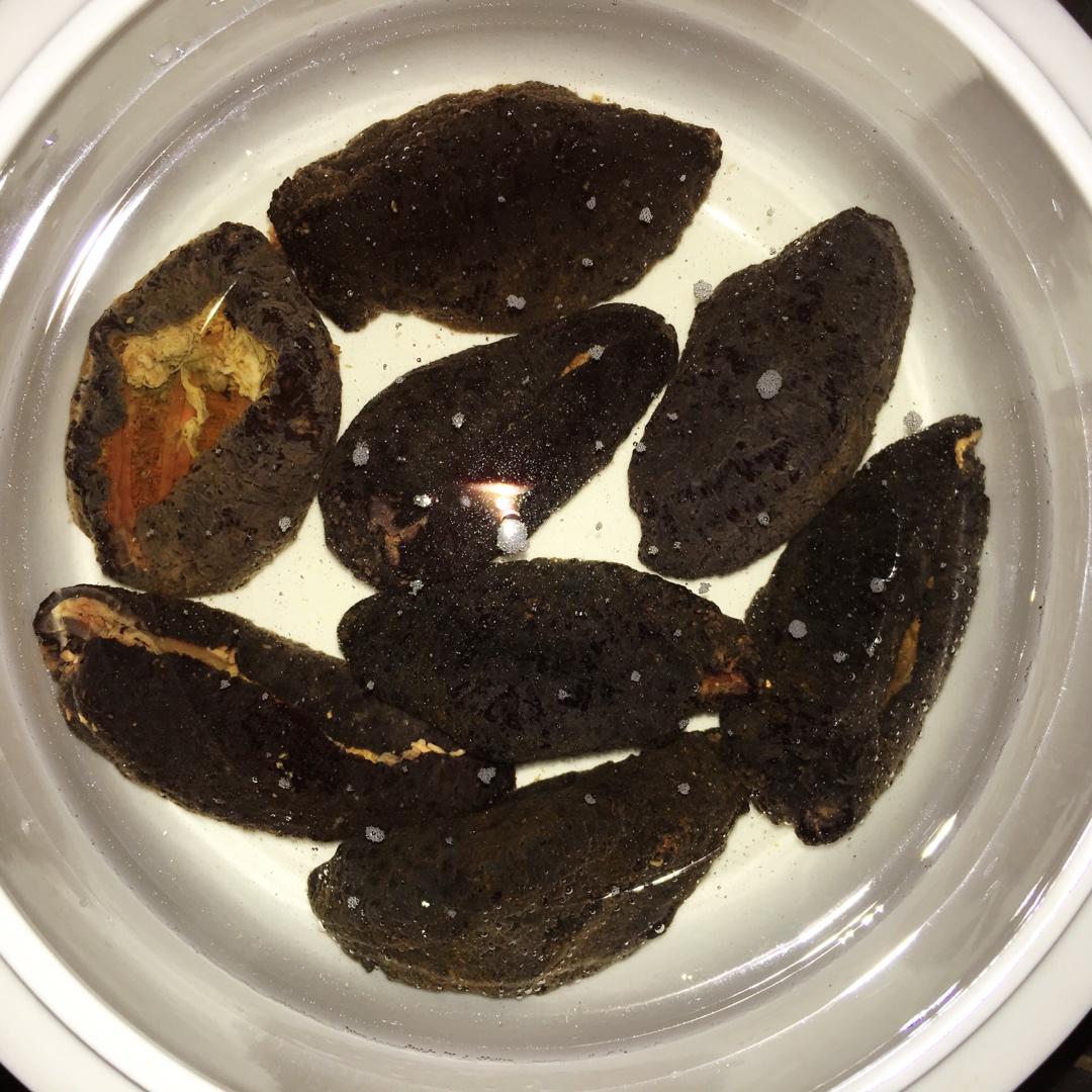 🔥零失败加拿大海参的泡法方法‼️
