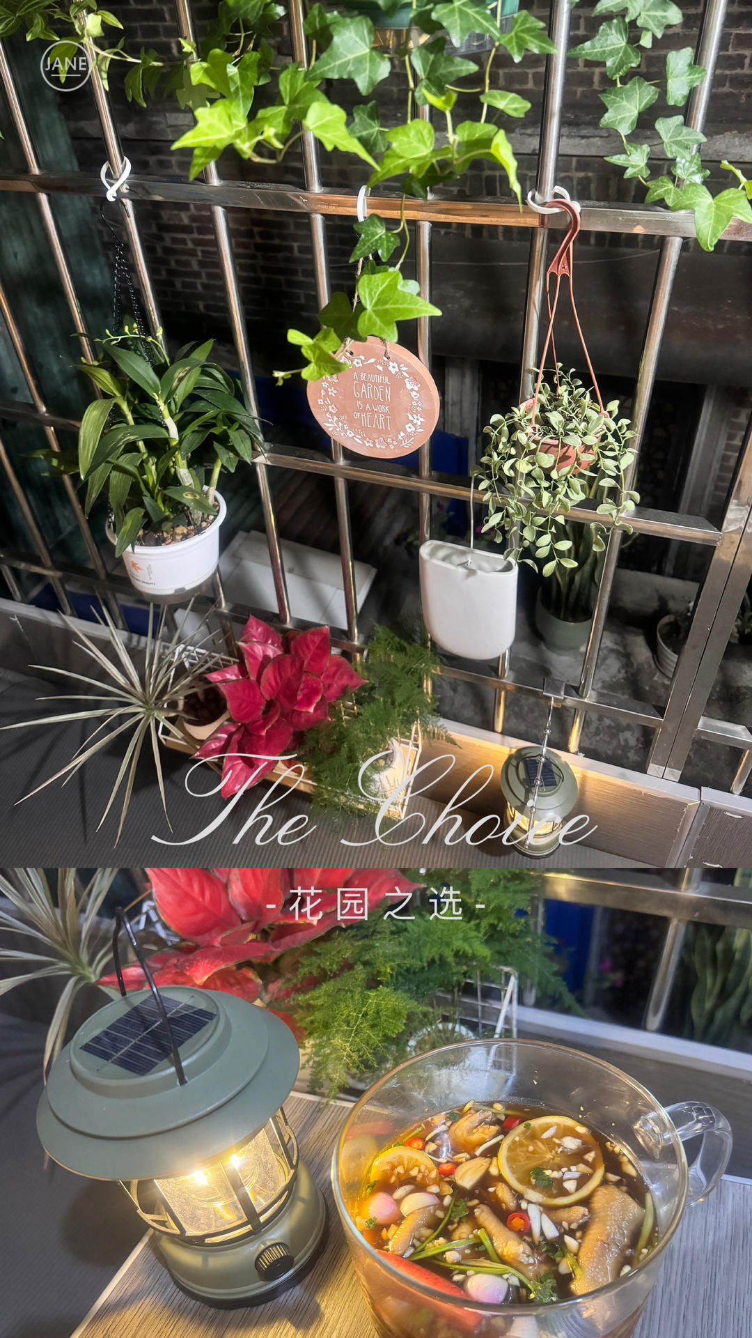 水晶大凤爪