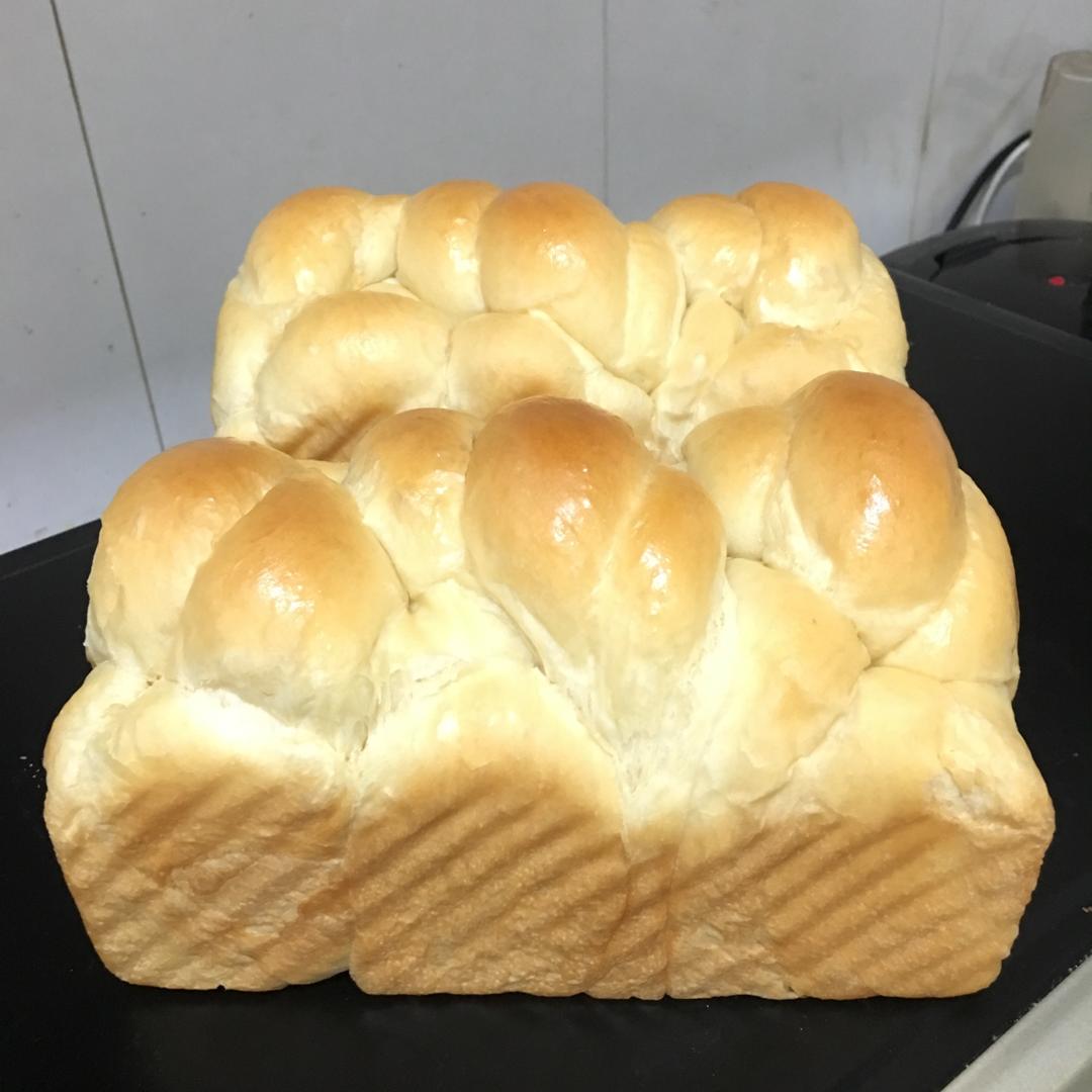 老面包（爱和自由）